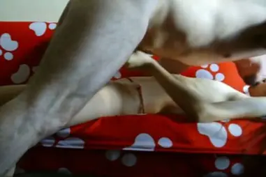 Live ABG Bispak Jakarta Hotel Bintang Lima Skandal Viral Streaming HD